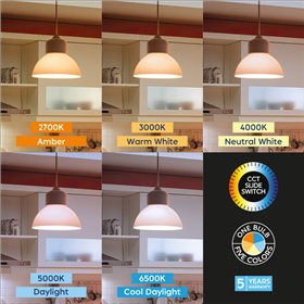 BRY-PREMIUM-13,5W-E27-A65-5IN1-LED BULB