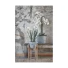 Puķu Poda Statīvs Mica Decorations Ascot Puķu Poda Statīvs Koks 48 x 33 x 33 cm