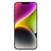 Rifle Paper Clear - Case for iPhone 14 Plus (Willow)