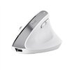 Trust Bayo+ - Ergonomic Wireless Mouse (White)