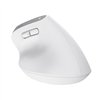 Trust Bayo+ - Ergonomic Wireless Mouse (White)