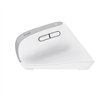 Trust Bayo+ - Ergonomic Wireless Mouse (White)