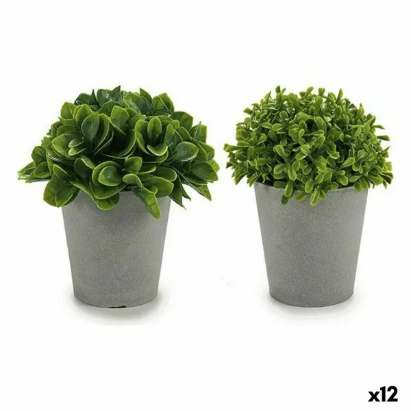 Decorative Plant Ibergarden Plastic 13 x 17 x 13 cm 14 x 16 x 14 cm (12 Units)