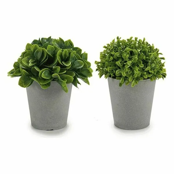 Koristekasvi Ibergarden Muovinen 13 x 17 x 13 cm 14 x 16 x 14 cm (12 osaa)
