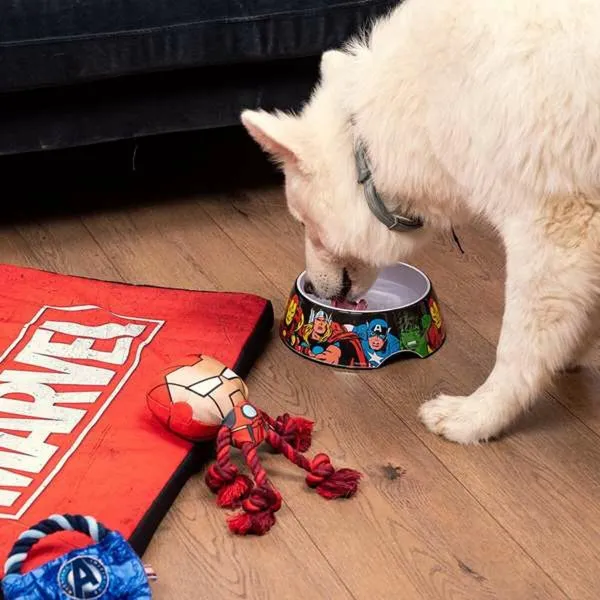 Dog Feeder Marvel Melamin 180 ml