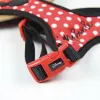 Koera rakmed Minnie Mouse Punane