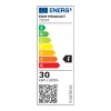 Floodlight/Projector Light EDM 70374 White F 30 W 2100 Lm (6400 K)