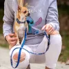 Suņa kaklasiksna Stitch