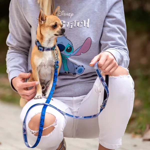 Suņa kaklasiksna Stitch