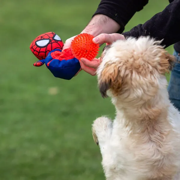 Minkštas žaislas šunims Spider-Man Raudona 11,0 x 18,0 x 10,0 cm