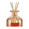Aromātiskie Kociņi Acorde Ingvers 250 ml (6 gb.)
