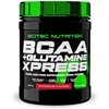 BCAA + Glutamine XPress SciTec