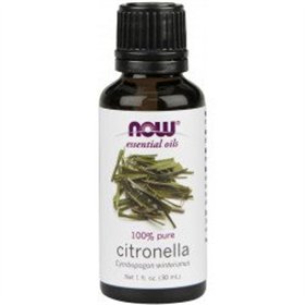 Essential Oil NOW Foods