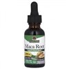 Maca Root Nature's Answer