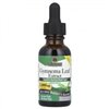 Gymnema Leaf Extract Nature's Answer