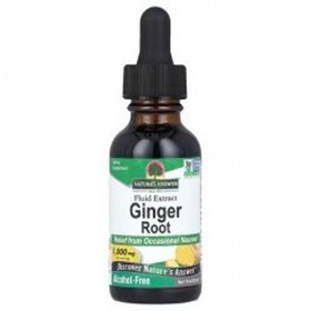 Ginger Root Nature's Answer