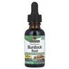 Burdock Root Nature's Answer