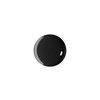 Maybelline Fast Gel Nail Lacquer 17-Blackout