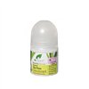 Rull-deodorant Dr.Organic DR00145 50 ml Teepuu