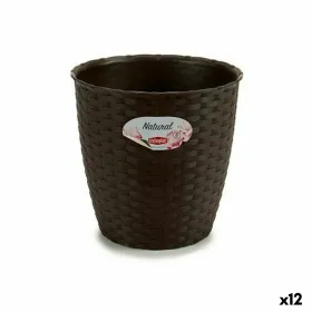 Stiklainis Stefanplast Šokoladas Plastmasinis 19 x 17,5 x 19 cm (12 vnt.)