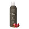 Noah Original Organic -samppanja 250ml
