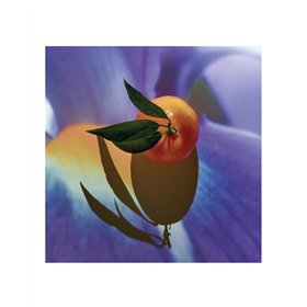 Meeste parfümeeria Loewe SOLO ELIXIR EDP 50 ml