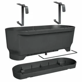 Stiklainis Elho Greenville 21,2 x 52 x 19,4 cm Juoda Ø 52 cm