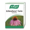 Vogel Echinaforce Forte 30 kapsulas