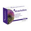 Eladiet Alcachofera 60 Comp De 330 Mg