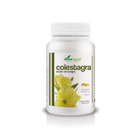 Alecosor Cholestagra 515 mg 100 perlų