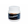 Sotya Creatina 350g Polvo
