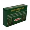 Integralia Lactobacillus Plus 60 kapslit