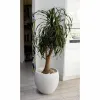 Stiklainis EDA Graphit Apskritas Balta Ø 50 cm