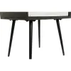 Spintelė DKD Home Decor 45 x 38 x 50 cm Juoda Metalinis Balta Mango mediena Wengue