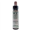Santiveri Bach Honeysuckle 10ml