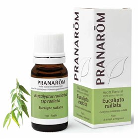 Eeterlik õli Pranarôm 10 ml Eukalüpt