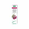 Vogel kremas Symphytum 35g