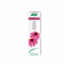 Vogel Dentaforce Equinacea 100g