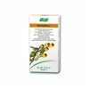 Vogel Dentaforce burnos skalavimo skystis 100 ml