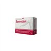 Actapharma Sarcodyn Pineapple 21 aploksne