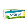 Boiron Arnica Gel 120g