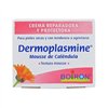 Dermoplasmine Calendula Mousse 20g