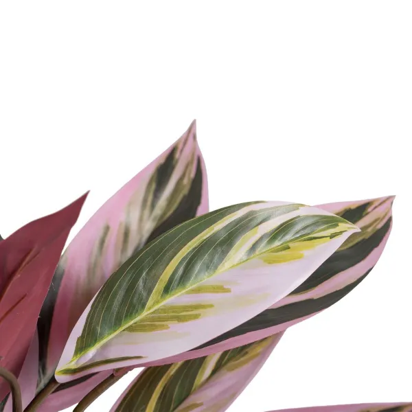 Koristekasvi 44 x 39 x 48 cm Pinkki Vihreä PVC