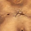 Sivupöytä Luonnollinen Musta tiikki 50 x 50 x 40 cm