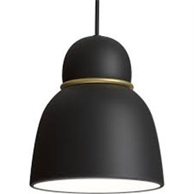 Pendant Bird Ø17,3 black structure/brass