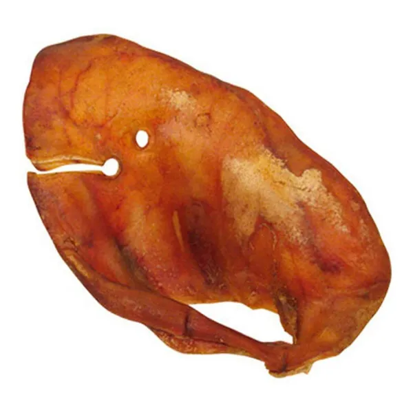 Fodder Gloria Pig