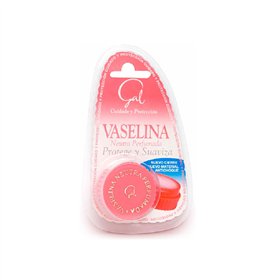 Vaselina Gal Perfumada 13ml
