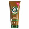 Mitrinoša kondicionieris Herbal Essences Bio Coco 350 ml