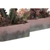 Koristekasvi DKD Home Decor 19 x 9 x 22 cm Pinkki Oranssi Kaktus Eva-kumi polypropeeni (2 osaa)