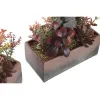 Koristekasvi DKD Home Decor 19 x 9 x 22 cm Pinkki Oranssi Kaktus Eva-kumi polypropeeni (2 osaa)